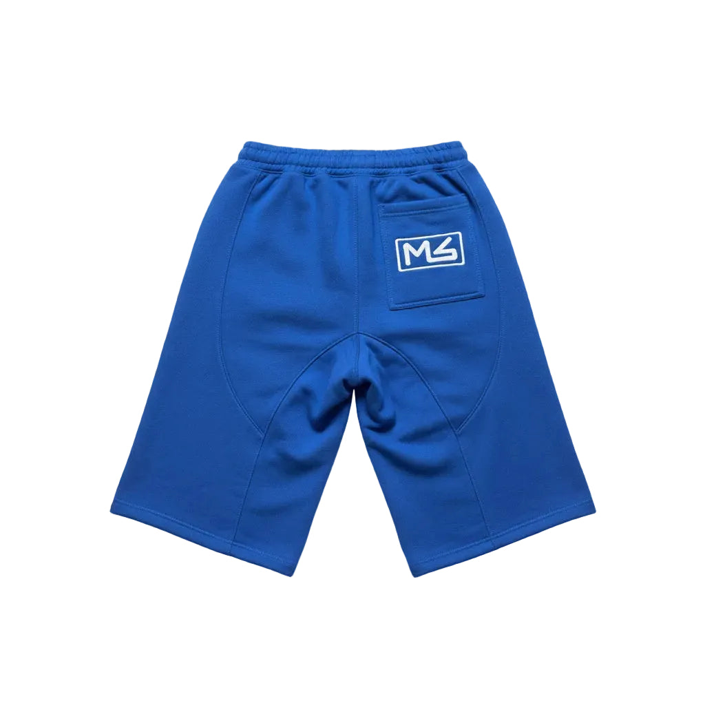 Blue Misled State Shorts